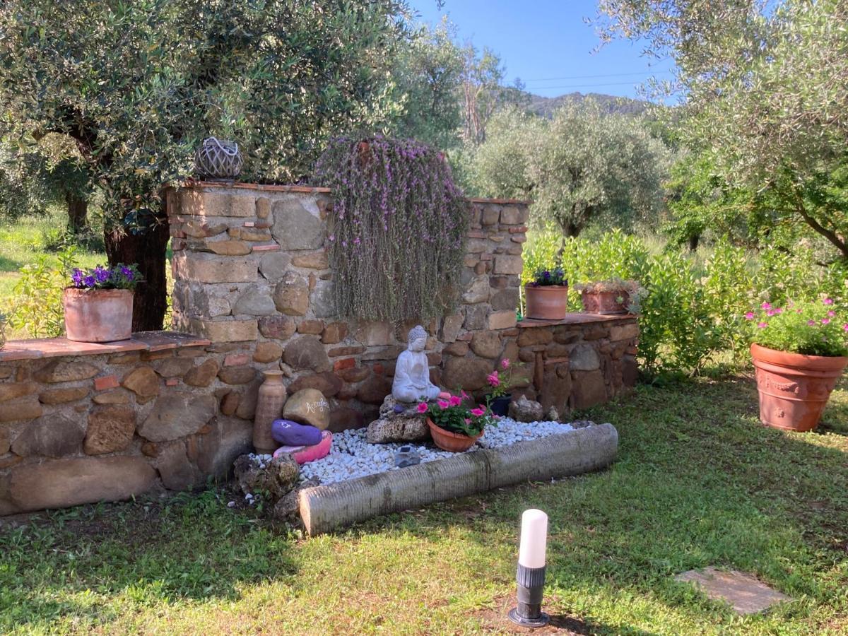 Agriturismo Buen Camino Scarlino Exterior photo