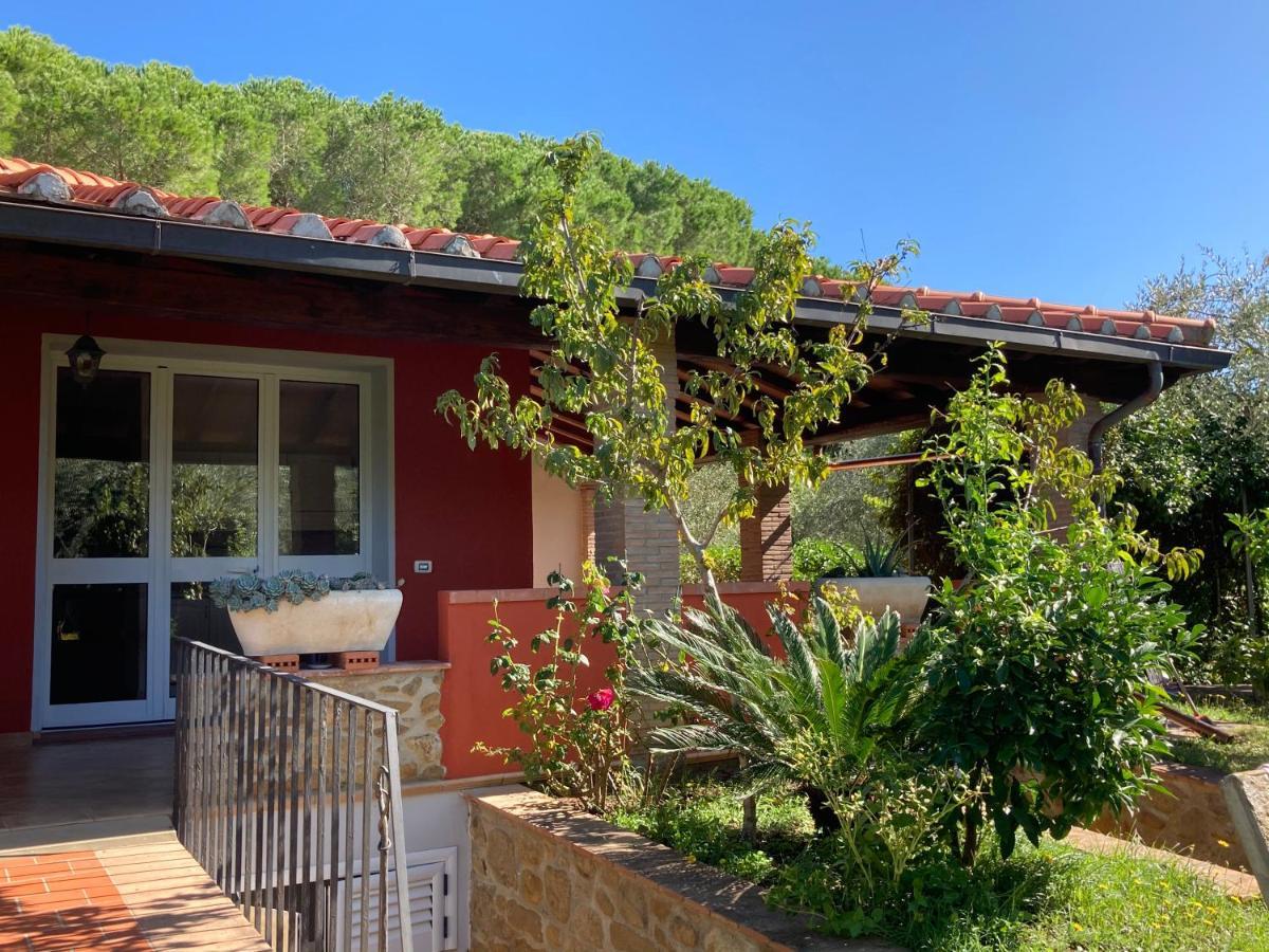 Agriturismo Buen Camino Scarlino Exterior photo